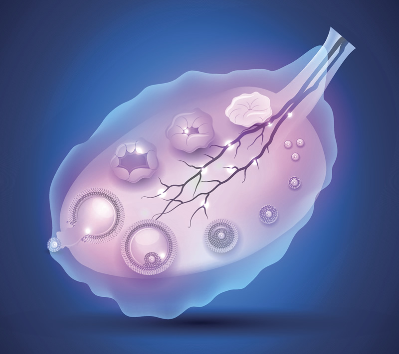 杭州单身试管医院前十强榜单与机构深度点评，附单身试管政策与医生推荐